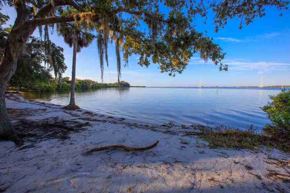 image5 Oldsmar Florida Secret Beach